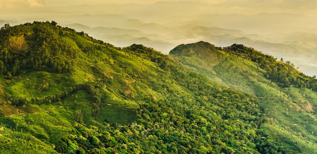 A Journey to the Clouds